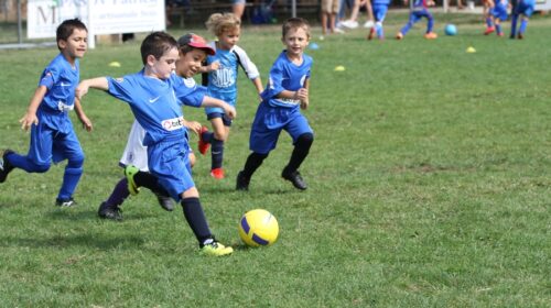 Des news des U7 2020/2021