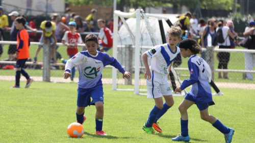 Patrick Martinez, responsable technique du Lavaur FC « Que les bons joueurs restent à Lavaur »￼