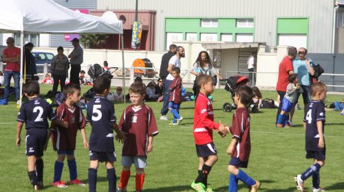 Le tournoi du Pastel, c’est samedi et dimanche à Lavaur !