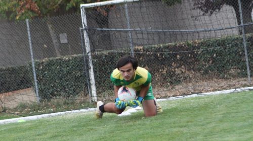 La nouvelle vie de Mathis Gris